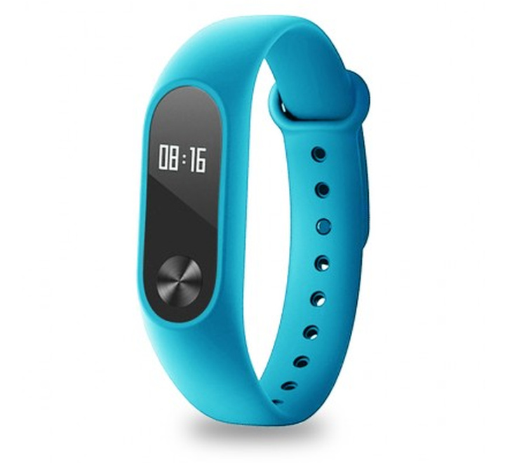 Band Fitbit Flex elas.am